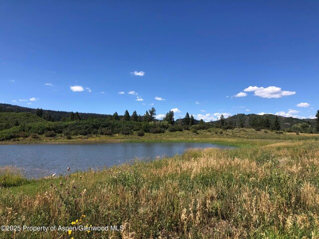 27112833 County Road 117, Glenwood Springs, CO 81601 - photo 6