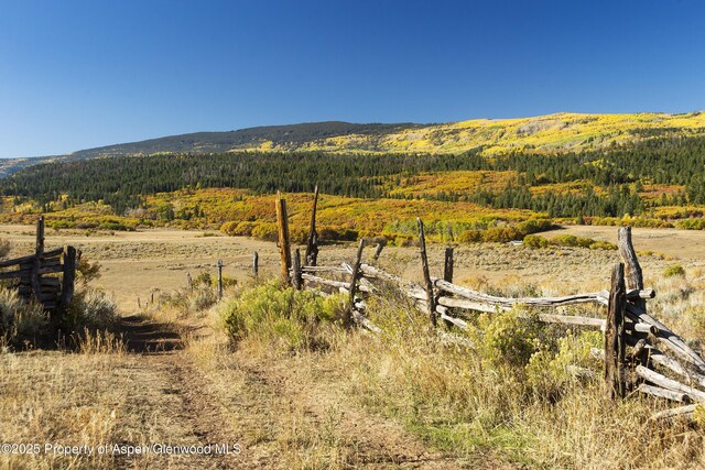 27112833 County Road 117, Glenwood Springs, CO 81601 - photo 29