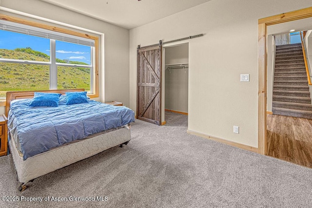 118 Highland Dr, Craig, CO 81625 - carpeted bedroom featuring a barn door, a walk in closet, and a closet
