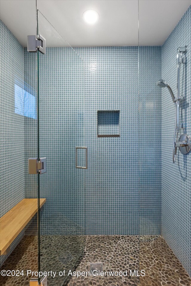 bathroom featuring a shower with shower door