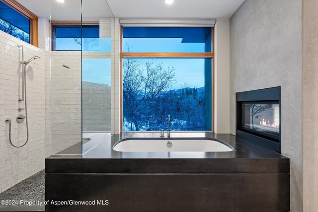 bathroom with sink, plus walk in shower, and plenty of natural light