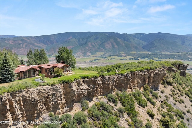 2908 Juniper Hill Dr, Aspen, CO 81611 - mountain view