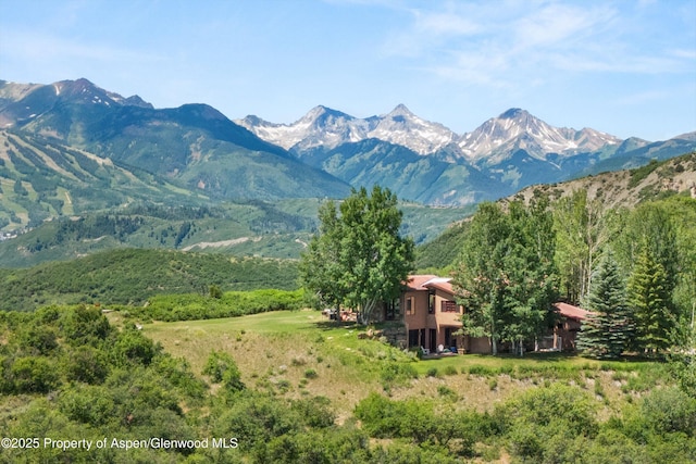 2908 Juniper Hill Dr, Aspen, CO 81611 - view of mountain backdrop