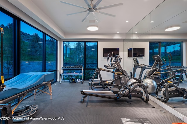 6890 E Sopris Creek Rd, Snowmass, CO 81654 - exercise room with a ceiling fan and expansive windows