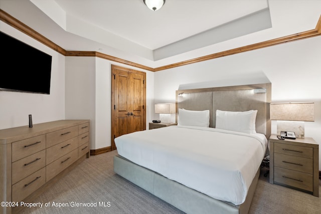 bedroom featuring light colored carpet and a raised ceiling