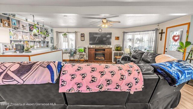 600 Rose St, Craig, CO 81625 - living room with healthy amount of natural light, a ceiling fan, and wood finished floors