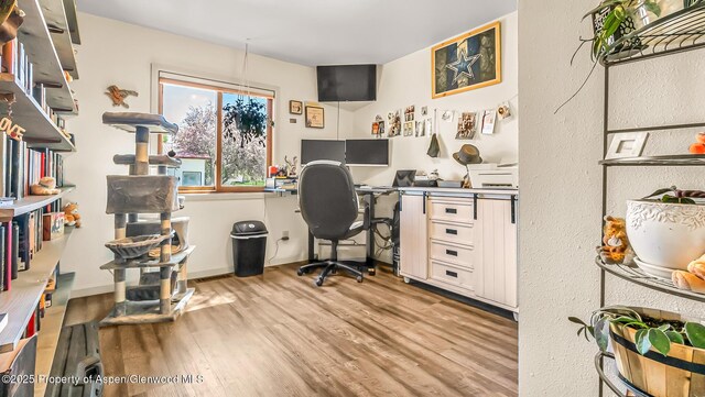 600 Rose St, Craig, CO 81625 - office area featuring light wood-style floors