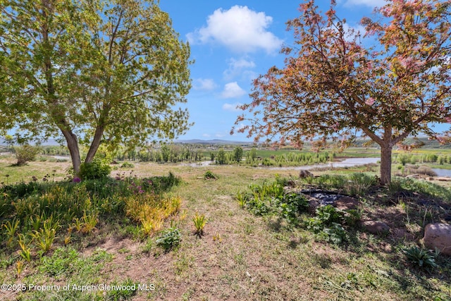 40889 County Road 76a, Hayden, CO 81639 - view of yard