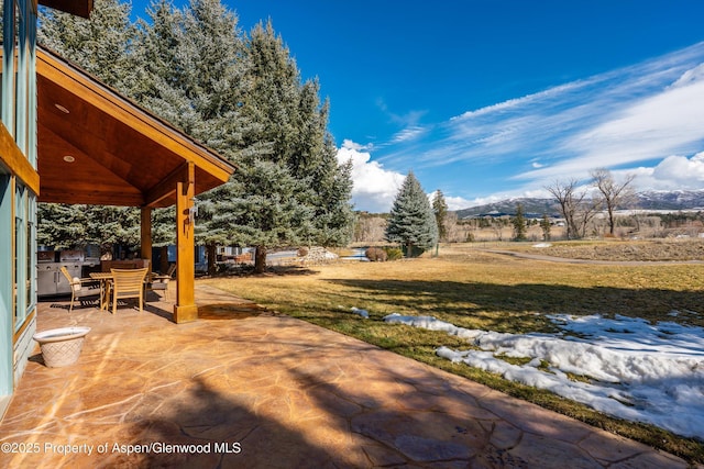 view of yard featuring outdoor dining space, a patio area, and a mountain view