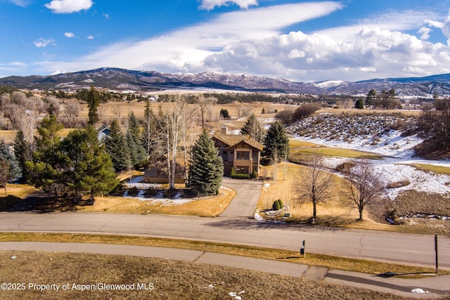 birds eye view of property with a mountain view