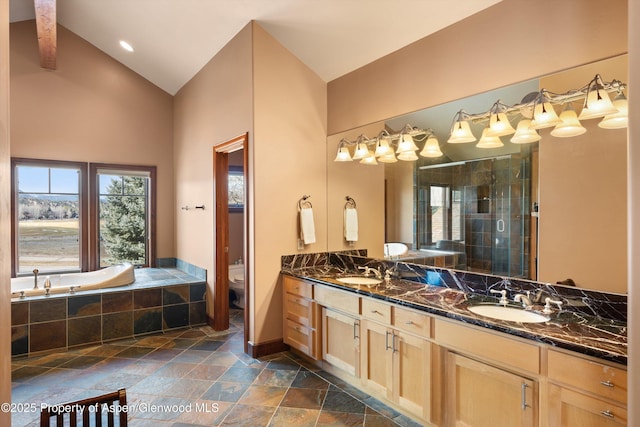 bathroom featuring vaulted ceiling, a sink, a shower stall, and stone tile floors