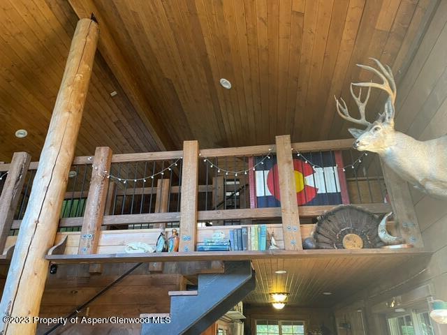 0 E Divide Creek Rd, Silt, CO 81652 - detailed view of wood ceiling