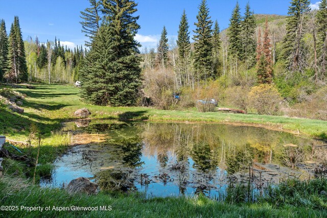 0 E Divide Creek Rd, Silt, CO 81652 - water view