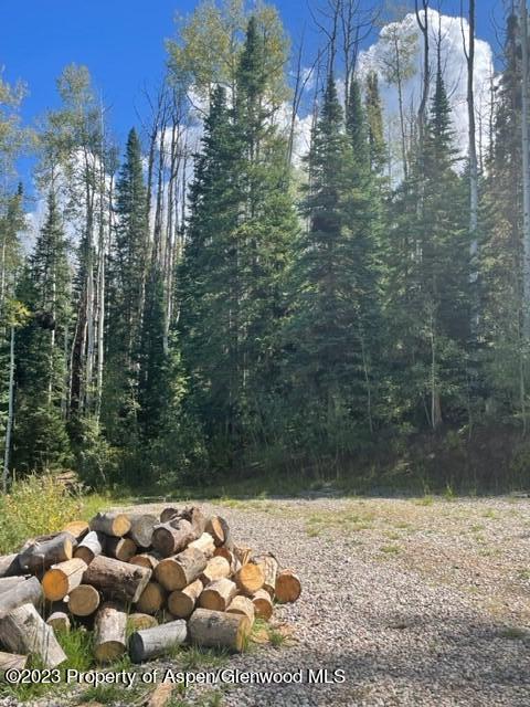0 E Divide Creek Rd, Silt, CO 81652 - view of woods