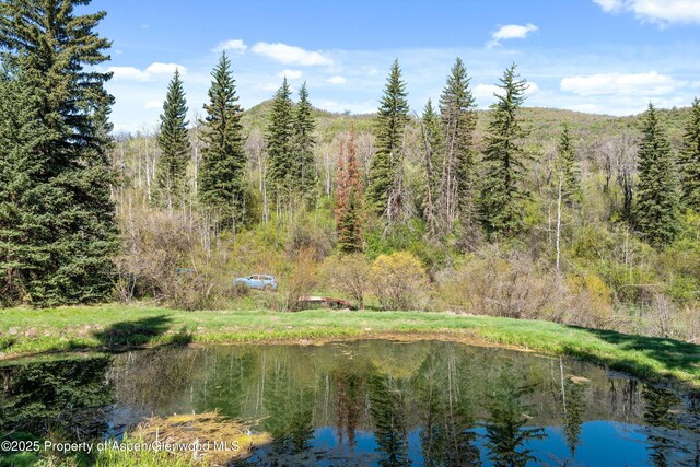 0 E Divide Creek Rd, Silt, CO 81652 - water view with a heavily wooded area