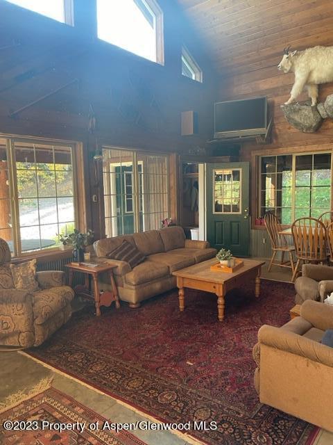 0 E Divide Creek Rd, Silt, CO 81652 - living room with high vaulted ceiling and healthy amount of natural light