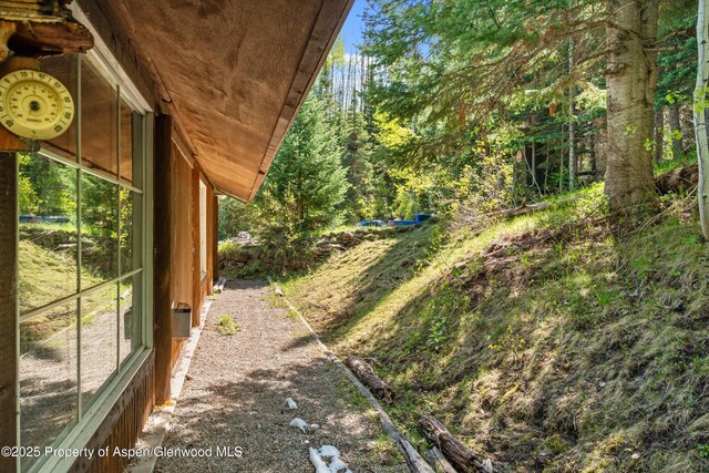 0 E Divide Creek Rd, Silt, CO 81652 - view of yard