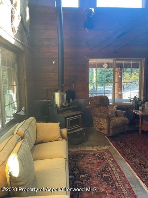 0 E Divide Creek Rd, Silt, CO 81652 - living room with a wood stove