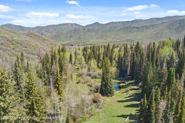 0 E Divide Creek Rd, Silt, CO 81652 - mountain view featuring a heavily wooded area