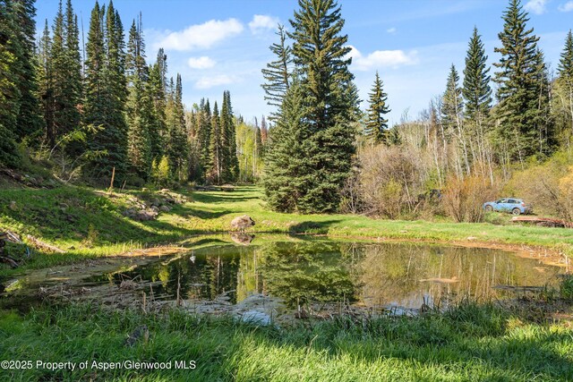 0 E Divide Creek Rd, Silt, CO 81652 - view of nature with a large body of water