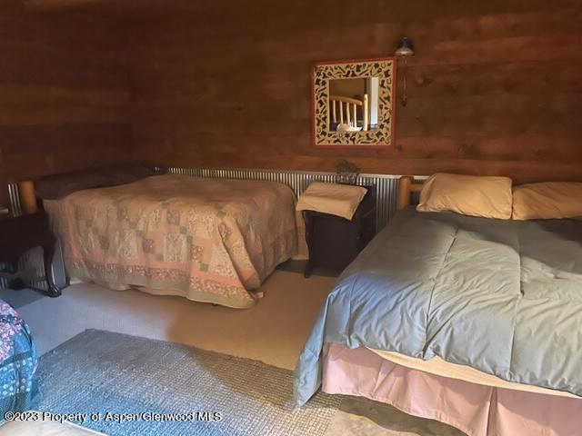 0 E Divide Creek Rd, Silt, CO 81652 - view of bedroom