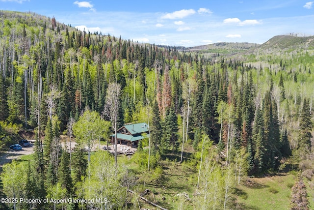 0 E Divide Creek Rd, Silt, CO 81652 - view of mountain background with a heavily wooded area