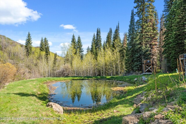 0 E Divide Creek Rd, Silt, CO 81652 - water view featuring a heavily wooded area