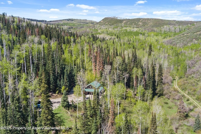 0 E Divide Creek Rd, Silt, CO 81652 - drone / aerial view of a heavily wooded area and mountains