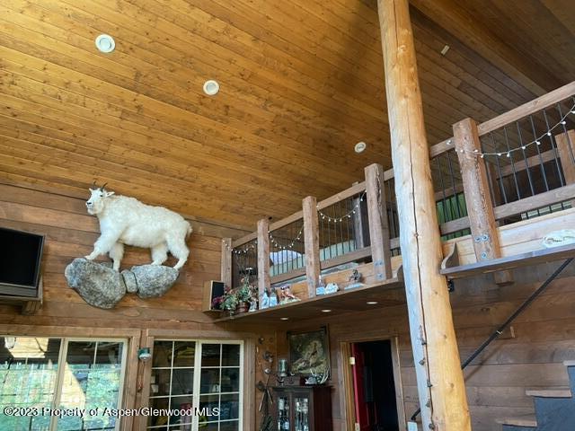 0 E Divide Creek Rd, Silt, CO 81652 - detailed view of wood ceiling and wood walls