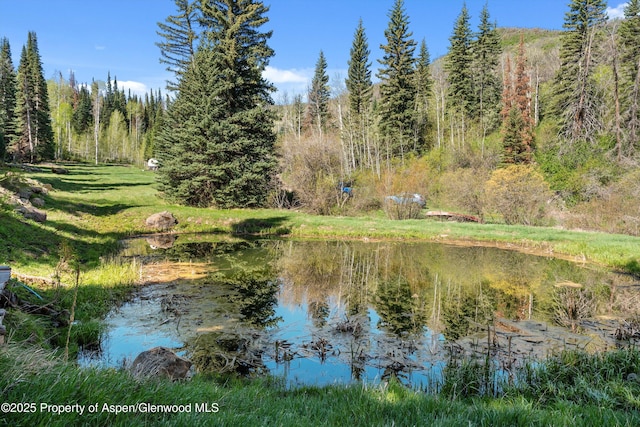 0 E Divide Creek Rd, Silt, CO 81652 - water view