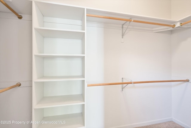 55 Limberpine Cir, Battlement Mesa, CO 81635 - view of walk in closet