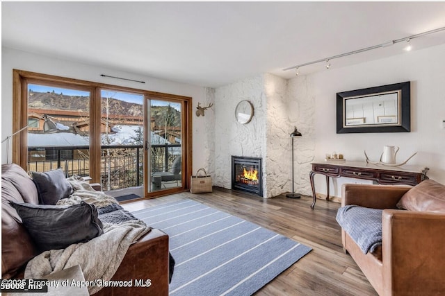 living room featuring a large fireplace and wood finished floors