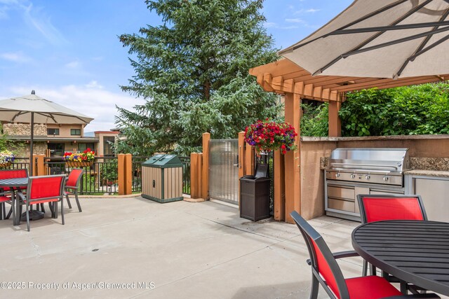 300 Carriage Way Unit 623, Snowmass Village, CO 81615 - photo 22