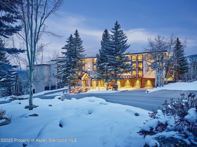 300 Carriage Way Unit 623, Snowmass Village, CO 81615 - photo 24