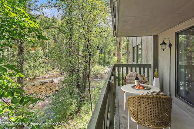 1024 E Hopkins Ave # 16, Aspen, CO 81611 - photo 1