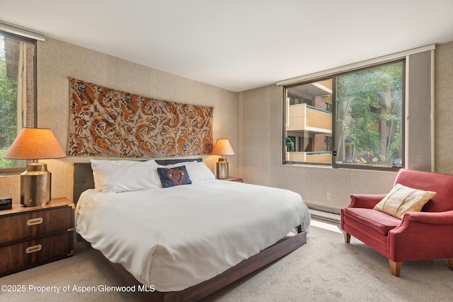 1024 E Hopkins Ave # 16, Aspen, CO 81611 - carpeted bedroom featuring a baseboard radiator