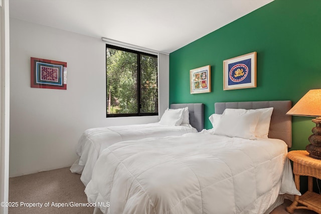 1024 E Hopkins Ave # 16, Aspen, CO 81611 - view of carpeted bedroom