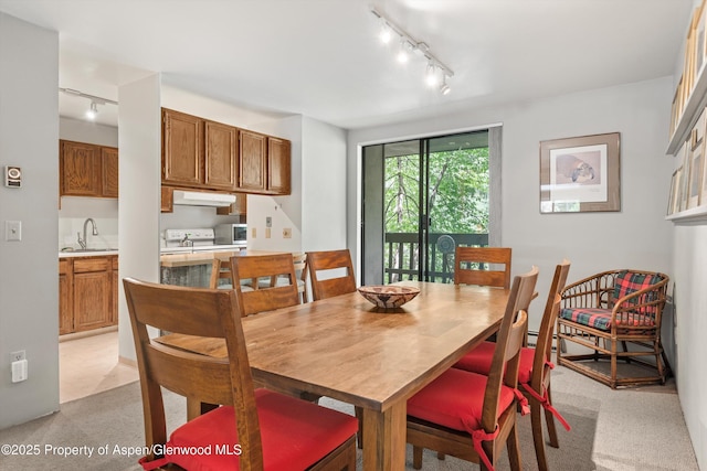 1024 E Hopkins Ave # 16, Aspen, CO 81611 - dining room featuring rail lighting and light carpet