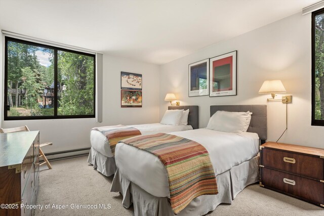 1024 E Hopkins Ave # 16, Aspen, CO 81611 - photo 13