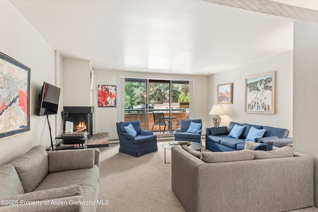 1024 E Hopkins Ave # 16, Aspen, CO 81611 - living area with carpet, a multi sided fireplace, and a baseboard radiator