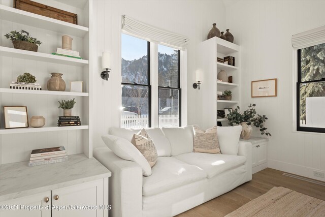 living room with built in shelves and light hardwood / wood-style flooring