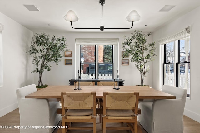 dining room with a wealth of natural light and wood-type flooring