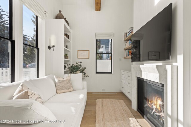 living room with a premium fireplace and light hardwood / wood-style floors