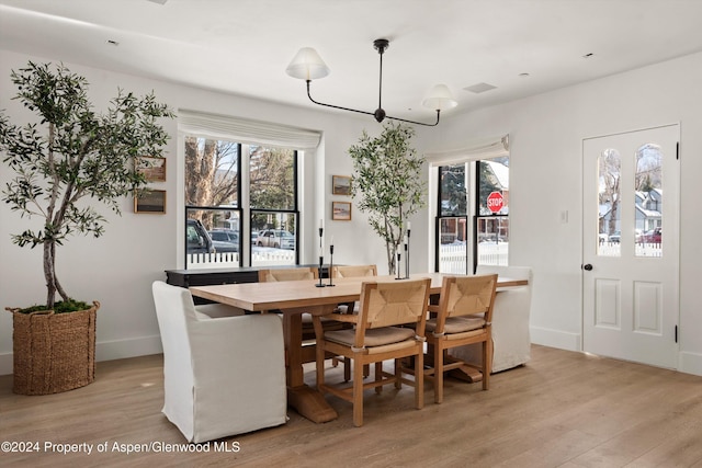 dining room with light hardwood / wood-style flooring