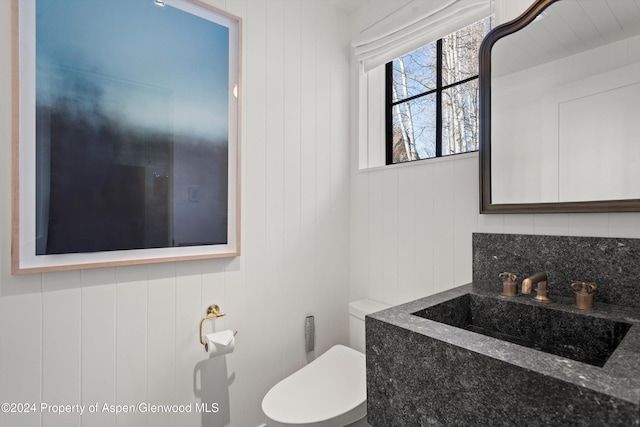 bathroom featuring tasteful backsplash, toilet, wood walls, and sink