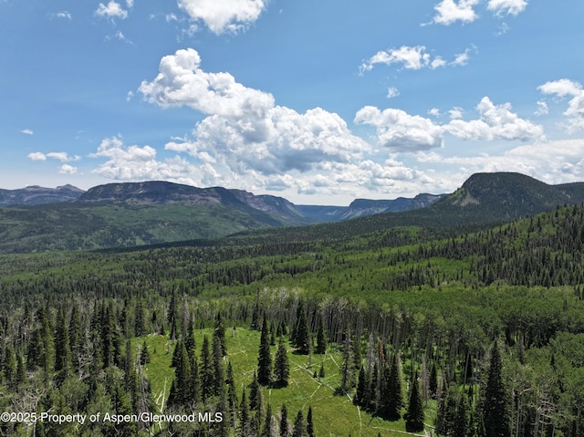 6398 County Road 4, Meeker, CO 81641 - mountain view with a heavily wooded area