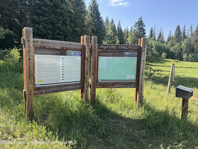 6398 County Road 4, Meeker, CO 81641 - exterior view of a forest