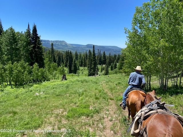 6398 County Road 4, Meeker, CO 81641 - view of mountain background with a forest