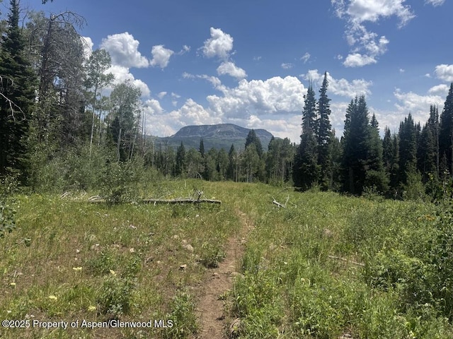 6398 County Road 4, Meeker, CO 81641 - view of mountain background featuring a heavily wooded area