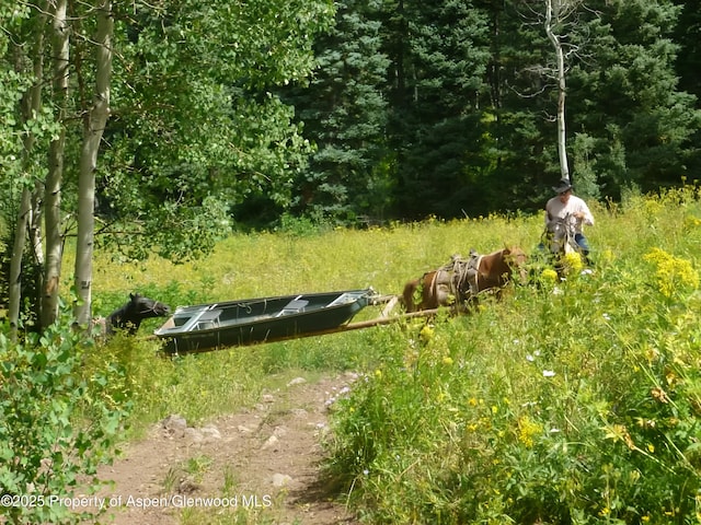 6398 County Road 4, Meeker, CO 81641 - view of yard with a forest view